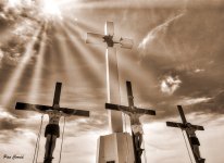 DSC08217 (1).jpg DSC08217 (1).jpg