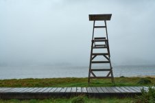 solitario Vigilancia__67A1657.jpg