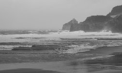 2026 02 19 Bakio 007_1.jpg