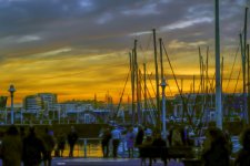 _DSF6066.jpg ps03.jpg