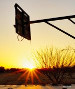 _DSC7478 (1) - copia.jpg