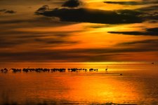 20260216-_MAC delta z 1278F.jpg