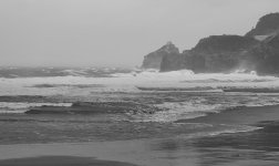 2026 02 19 Bakio 007_1_1.jpg