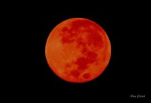 DSC03514 - copia.JPG