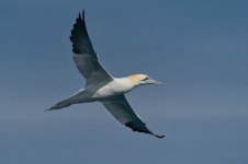 20260222-_MAC gepec f 0746F.jpg