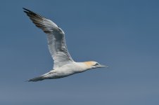 20260222-_MAC gepec f 0747F.jpg