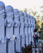 _DSF6280.jpg ps02.jpg