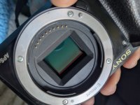 1000115064.jpg 1000115064.jpg