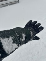 IMG_8423.jpeg IMG_8423.jpeg