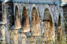 Rio Esla__A740973.jpg