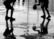 DSC00714 - copia.JPG