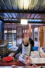 Mercato di Ballarò (1).jpg