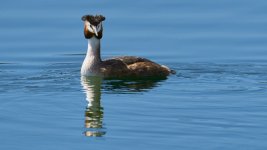 _APS9801_1920_Min F.jpg _APS9801_1920_Min F.jpg