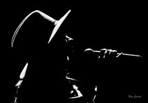 DSC01981 (1) (2).jpg