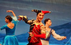 DSC03860 (1) - copia.jpg