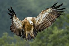 20200610-berga 2248_genExpand (1)F.jpg