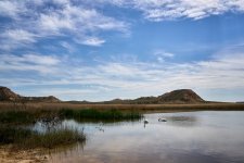 El lago de los cisnes.jpg