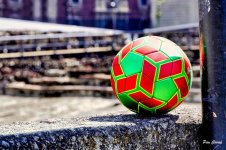 _DSC0871.JPG