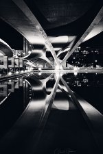 _VGP2376 1 1 1.jpg