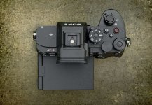 3055385.jpg
