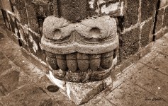 _DSC0771 (1).jpg _DSC0771 (1).jpg