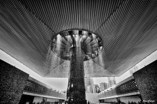 _DSC2396 (1).jpg