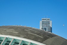 Pista de aterrizaje.jpg