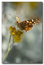 _AR60060-Editar.jpg