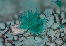 2025-03-13-12.14.09 ZS PMax.jpg