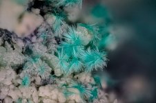 2025-05-18-22.26.20 ZS PMax.jpg