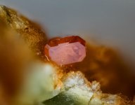 2025-05-20-10.33.42 ZS PMax.jpg