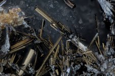 2025-09-12-12.50.13 ZS PMax.jpg