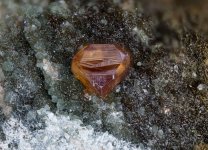 2025-09-12-20.37.59 ZS PMax.jpg