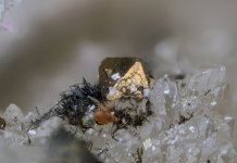 2026-06-06-18.24.16 ZS PMax.jpg