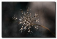 _AR59739-E.jpg