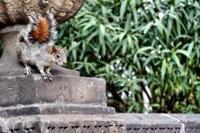 _DSC1818 (1).jpg _DSC1818 (1).jpg
