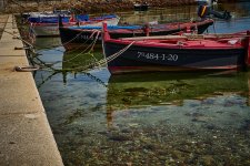 Dornas_67A2402.jpg