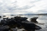 DSC08555.jpg