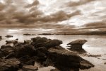DSC08555.jpg