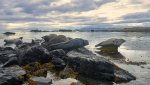 DSC08555.jpg