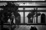 -ILCE-7M2---ÉVORA_DSC9882_1.jpg
