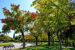 mini_DSC05056.JPG