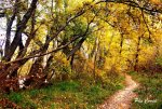 mini_DSC07202.JPG