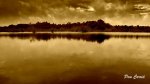 DSC01970 (Copiar).JPG