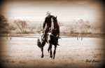 DSC09221 - copia.JPG