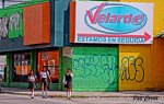 DSC06245 (Copiar).JPG