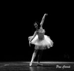 DSC07032 (Copiar).JPG