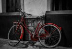 19F06569-BA31-41AF-B08E-0AAA2F77327C.jpeg