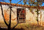 DSC06110 (Copiar).JPG