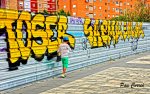 DSC06566 (Copiar).JPG